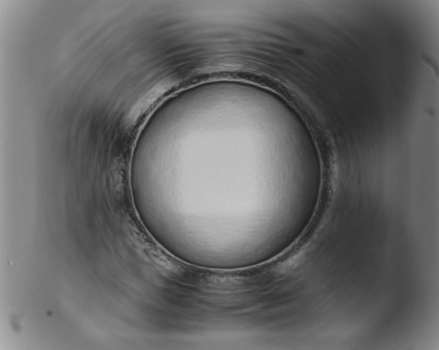 X0000103480921200809261924