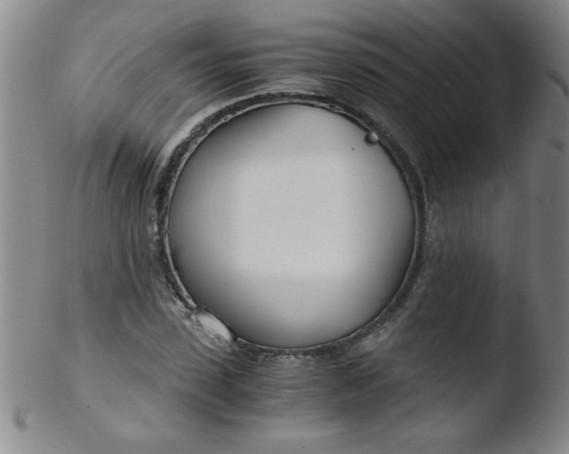 X0000103480923200809261924