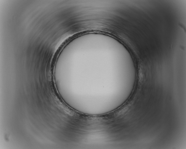 X0000103480924200809261924