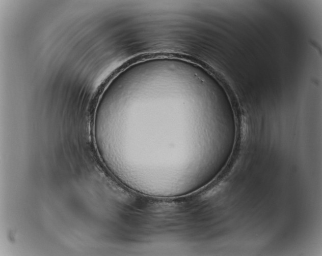 X0000103480925200809261924