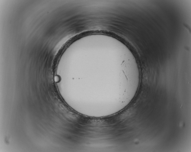 X0000103480927200809261924