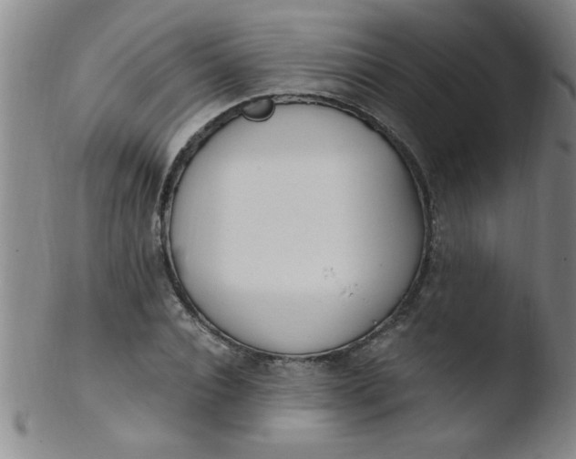 X0000103480928200809261924