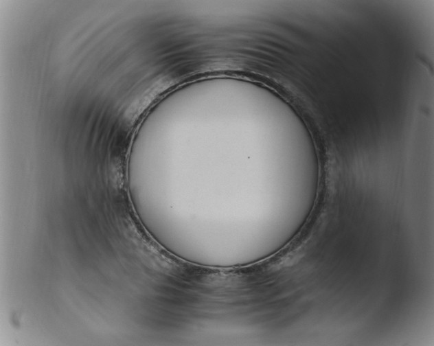X0000103480929200809261924