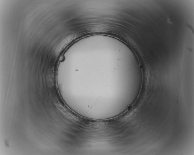 X0000103480930200809261924