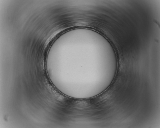 X0000103480931200809261924