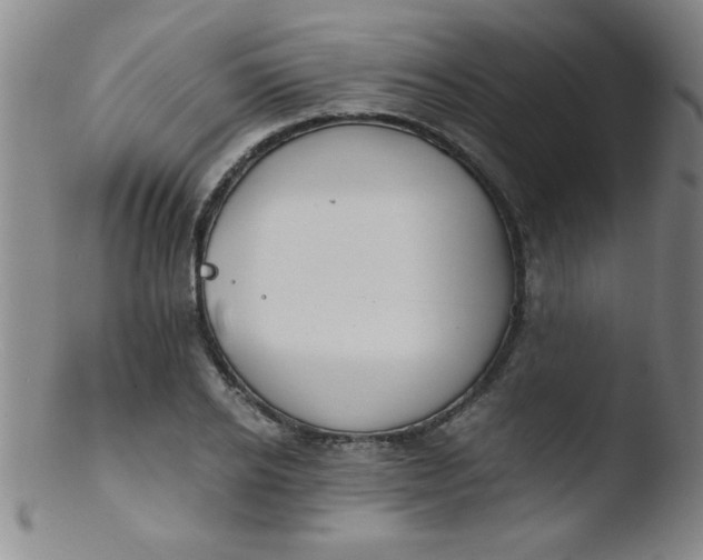 X0000103480934200809261924
