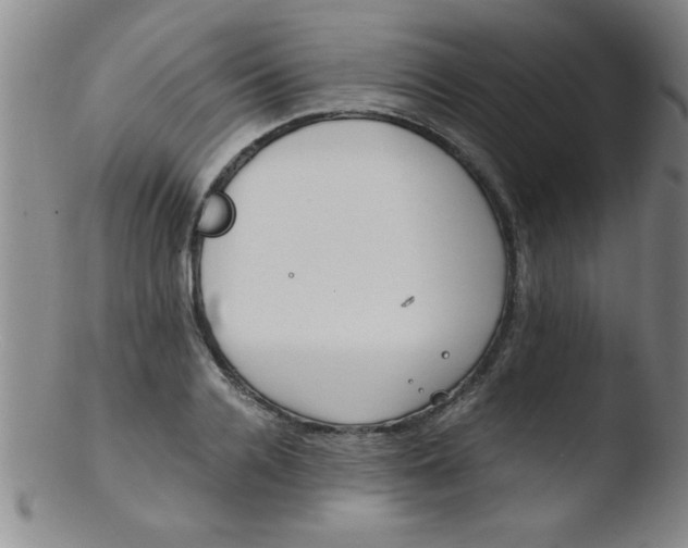 X0000103480936200809261924