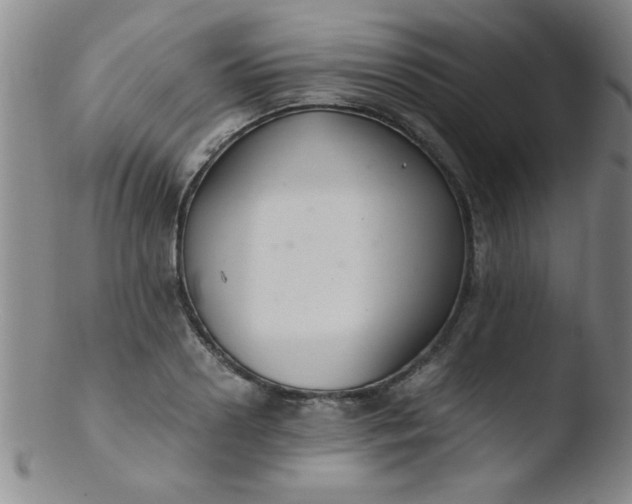 X0000103480938200809261924