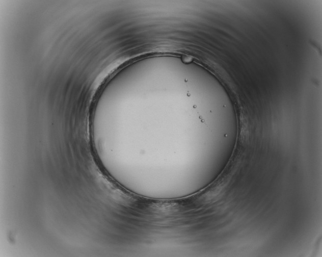 X0000103480939200809261924