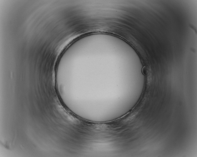 X0000103480940200809261924