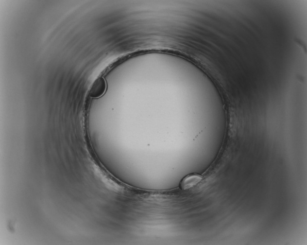 X0000103480942200809261924