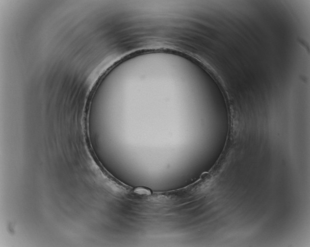 X0000103480943200809261924