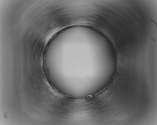 X0000103480944200809261924