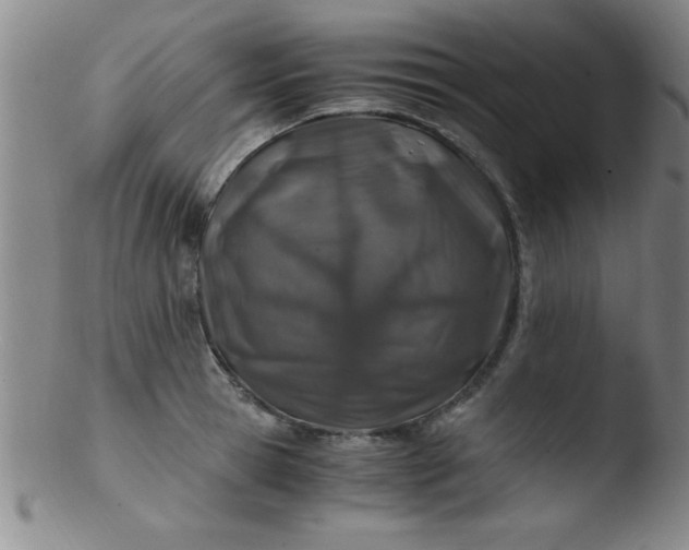 X0000103480945200809261924