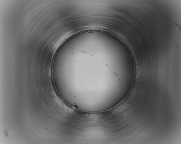 X0000103480946200809261924
