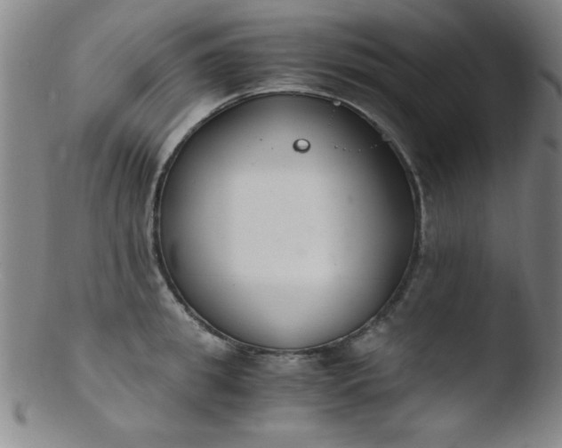 X0000103480949200809261924