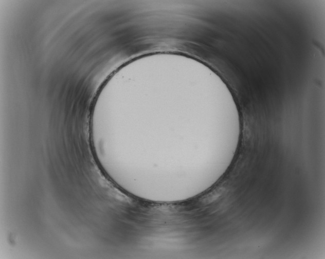 X0000103480950200809261924