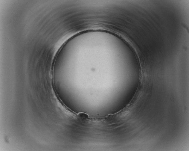X0000103480951200809261924