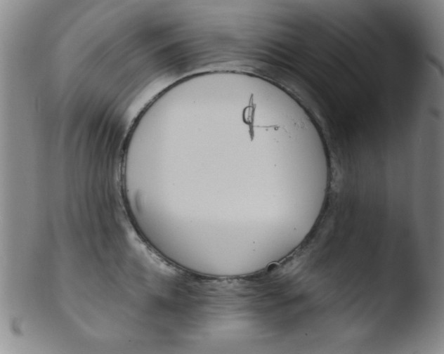 X0000103480952200809261924