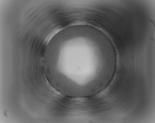 X0000103480953200809261924