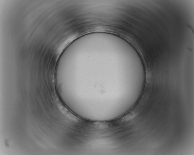 X0000103480954200809261924