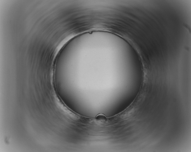 X0000103480955200809261924