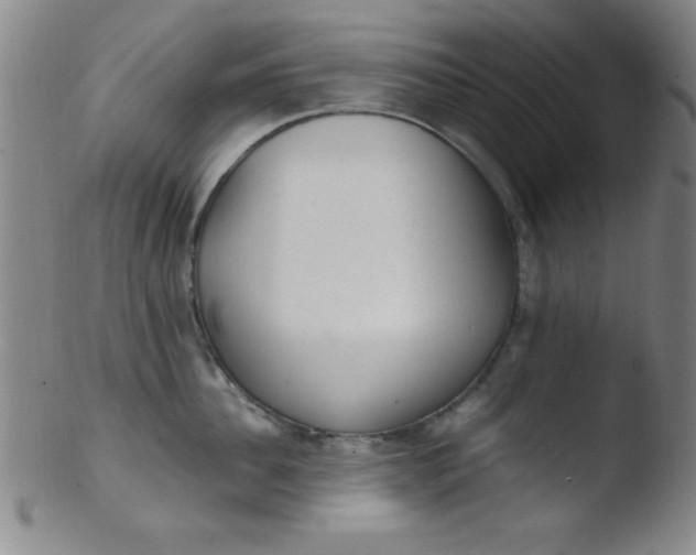 X0000103480956200809261924