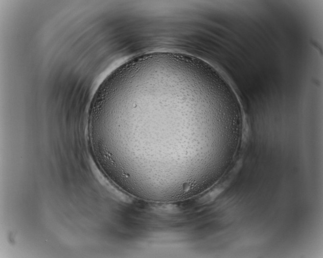 X0000103480957200809261924