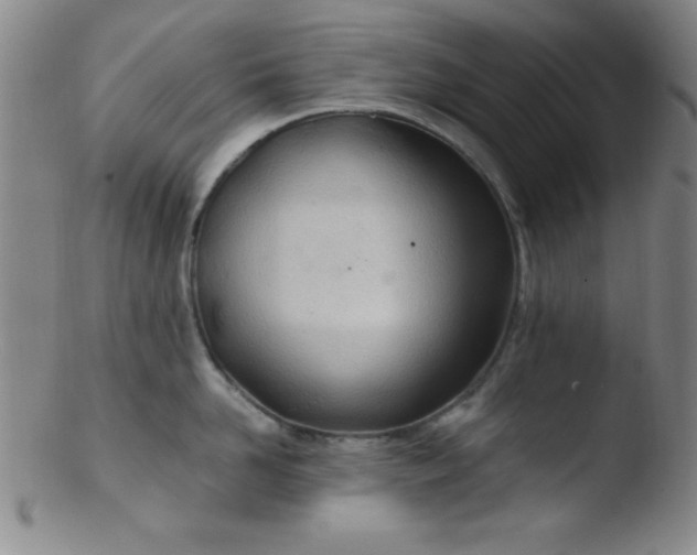 X0000103480958200809261924