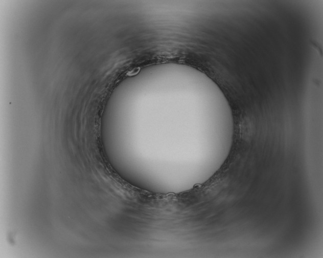 X0000103480961200809261924