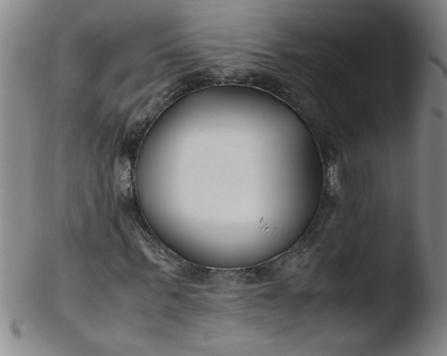 X0000103480963200809261924
