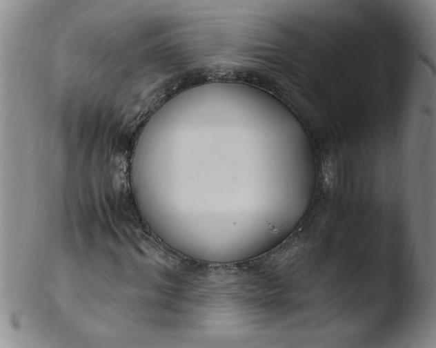 X0000103480964200809261924