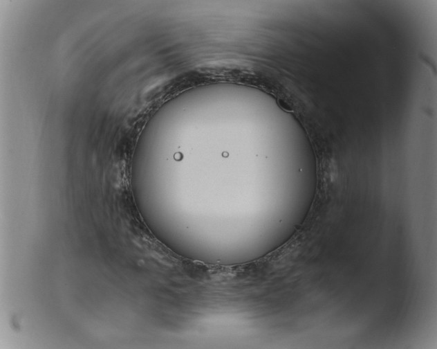 X0000103480965200809261924