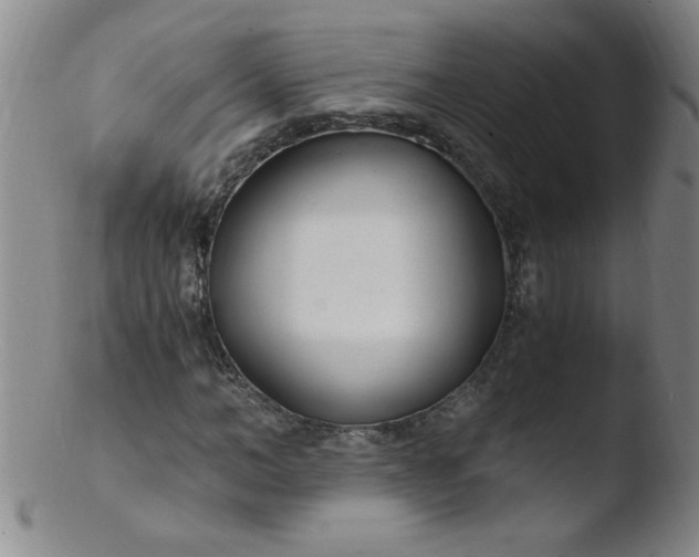 X0000103480966200809261924