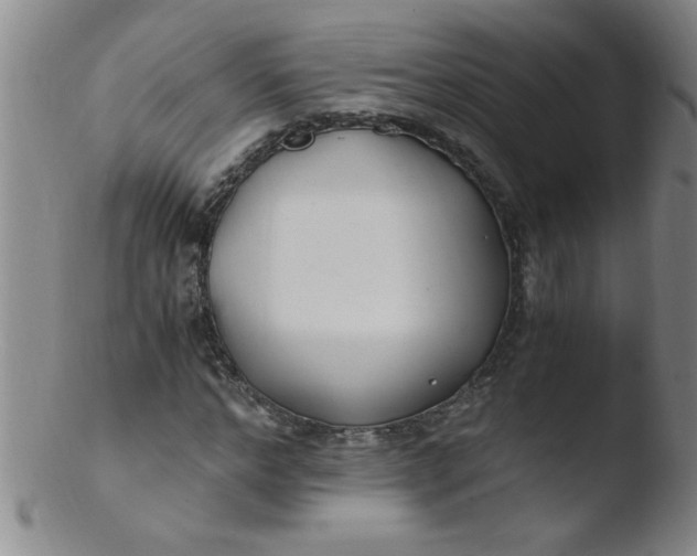 X0000103480968200809261924