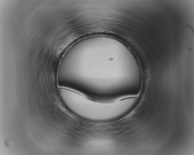 X0000103480969200809261924