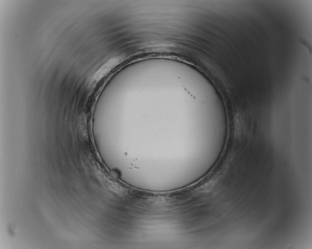 X0000103480970200809261924