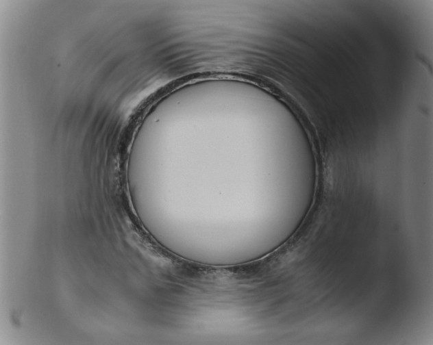 X0000103480971200809261924