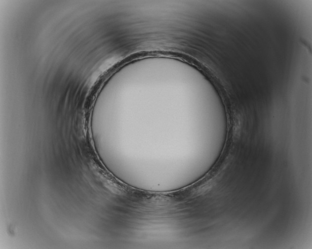 X0000103480974200809261923