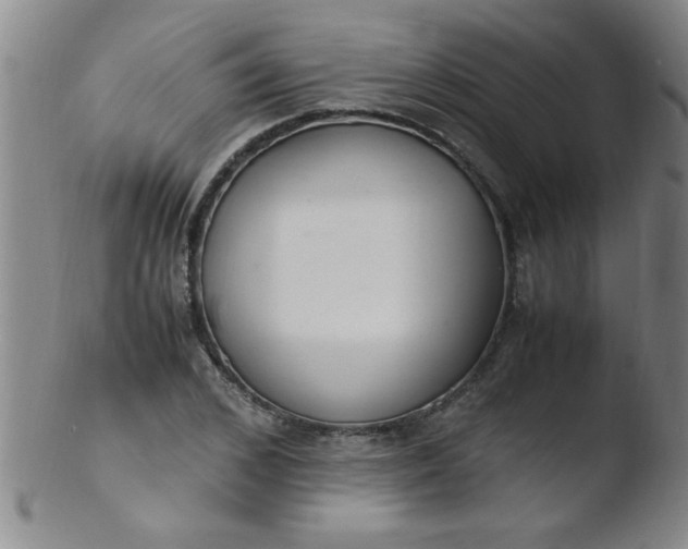 X0000103480976200809261923