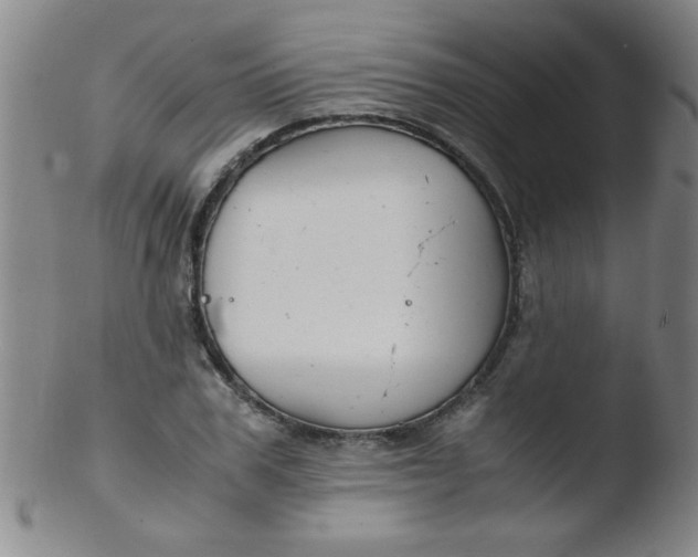 X0000103480979200809261923