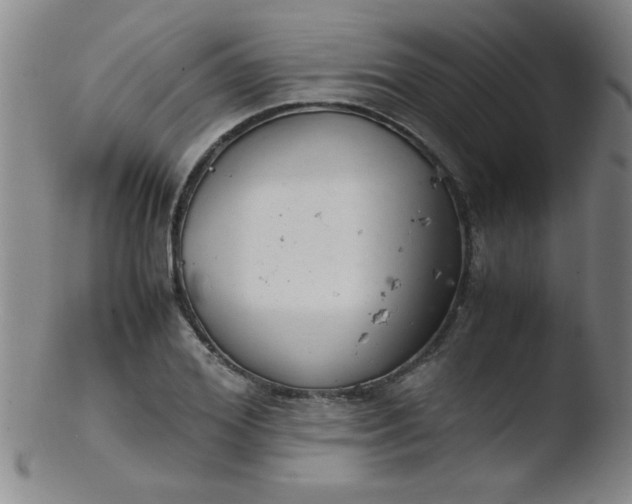 X0000103480980200809261923