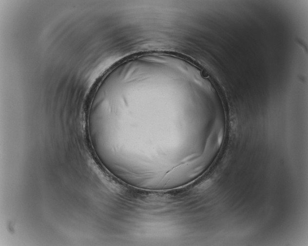 X0000103480981200809261923