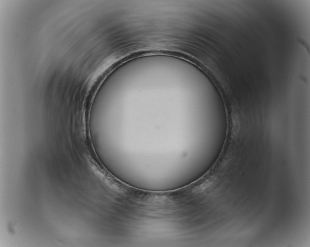X0000103480982200809261923