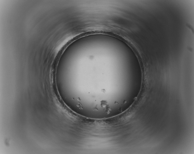 X0000103480983200809261923