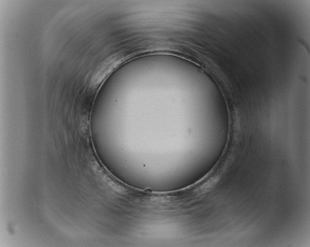 X0000103480985200809261923