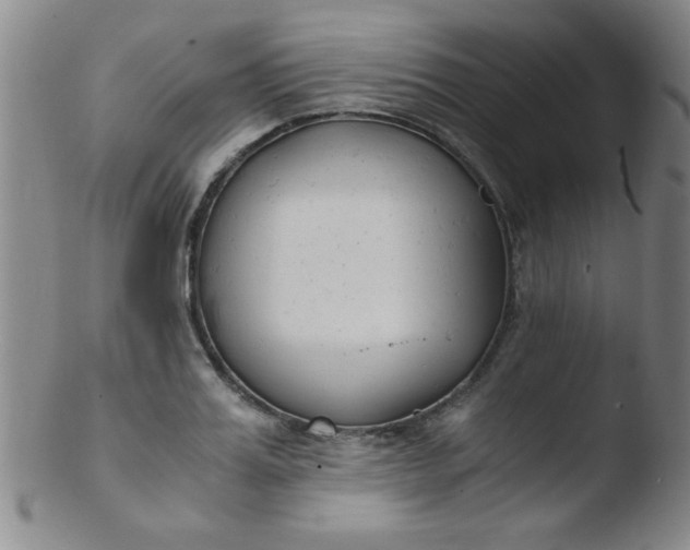 X0000103480987200809261923