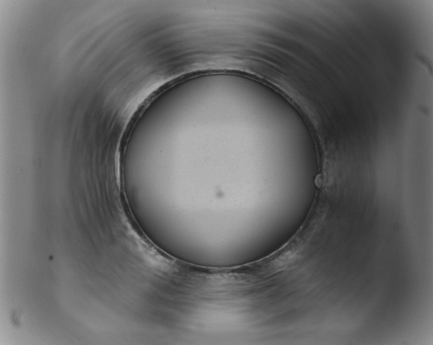 X0000103480988200809261923
