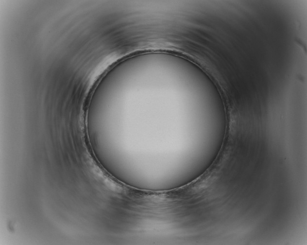 X0000103480990200809261923