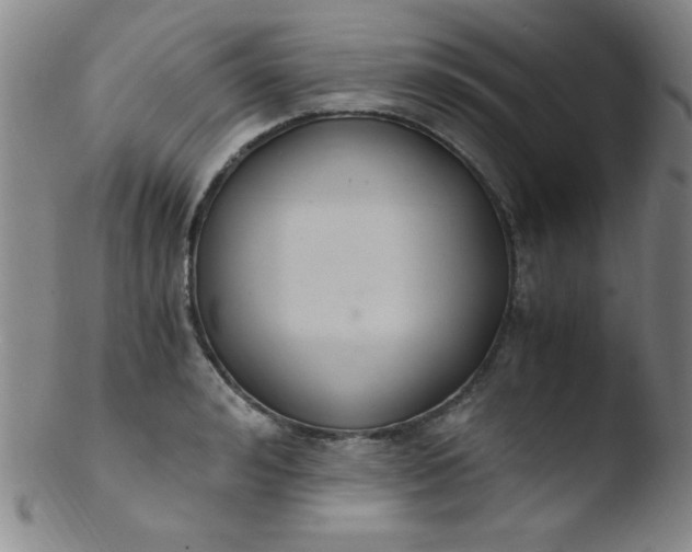 X0000103480992200809261923